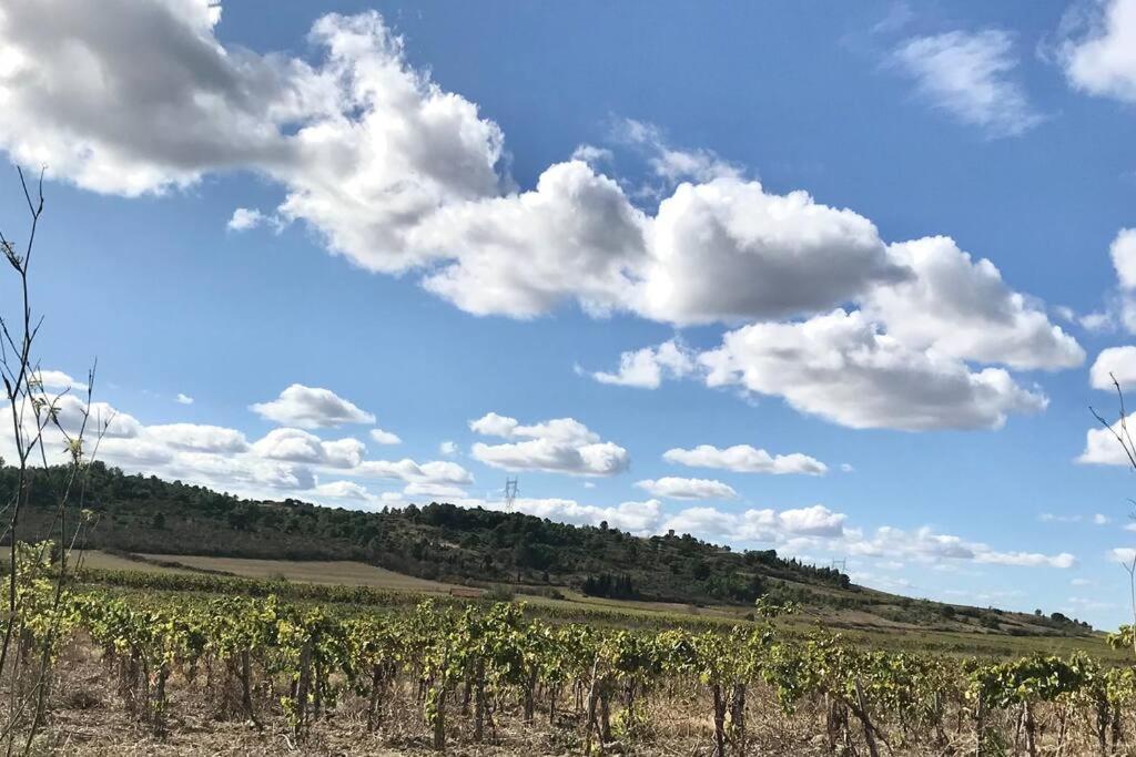 Appartement Le Jutini Caunes-Minervois Eksteriør bilde